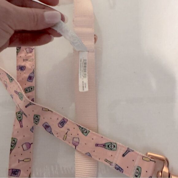 Top Paw Champagne Dog collar XS and Leash set 4 Ft - Picture 3 of 5